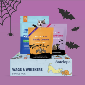 Bocce's Bakery Monsters & Meows Halloween Cat Box